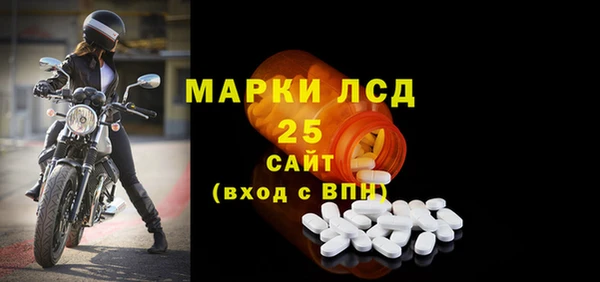 ALPHA PVP Горнозаводск