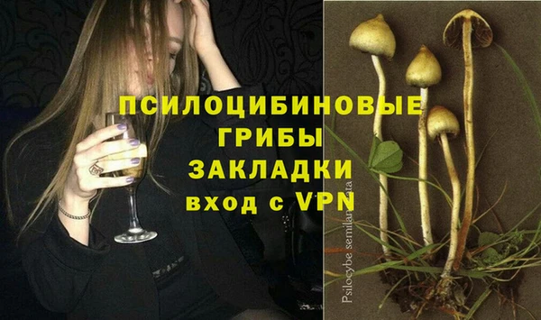 таблы Новозыбков