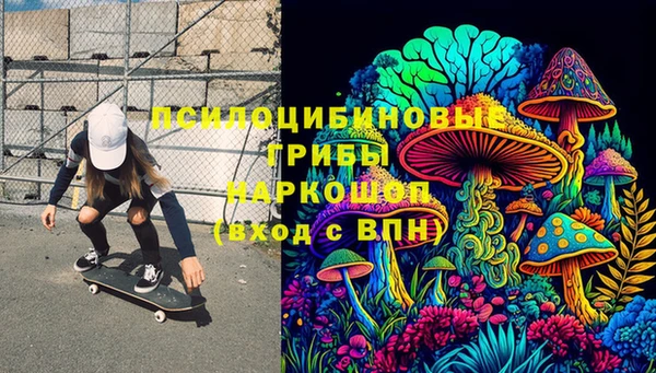 ALPHA PVP Горнозаводск