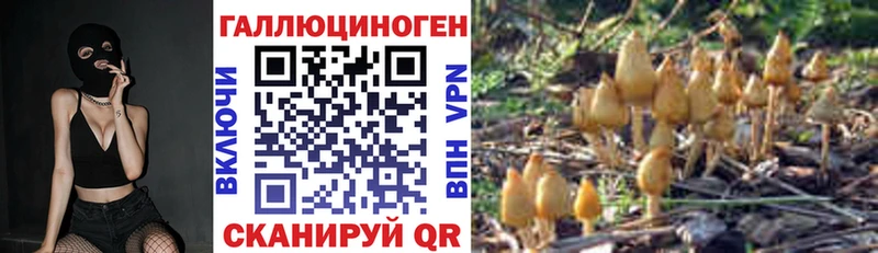 хочу наркоту  Пионерский  Галлюциногенные грибы GOLDEN TEACHER 