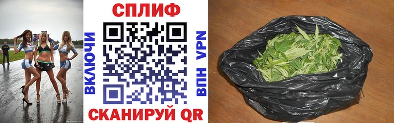 продажа наркотиков  Пионерский  МЕГА ссылки  Бошки марихуана сатива 